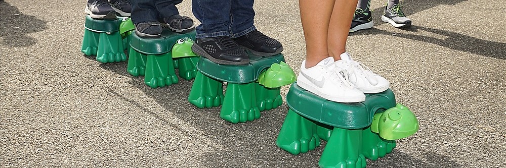 4 Schildkröten 4 Schildkröten